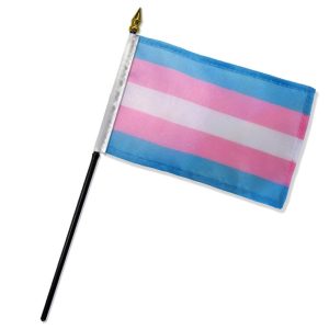 Transgender 4"x 6" Stick Flag - Image 1