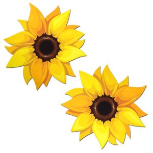 Sunflower Pasties - Image 1