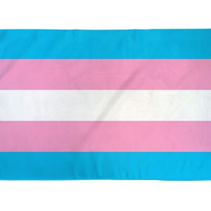 Transgender Flag 2' x 3' Polyester - Image 1