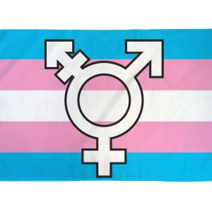 Transgender Symbol Flag 3' X 5' Polyest - Image 1