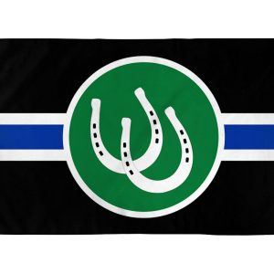 Pony Pride Flag 3' x 5' Polyester - Image 1