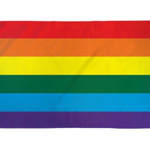Rainbow Flag 2' x 3' Polyester - Image 1