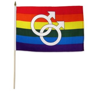Rainbow Double Mars Stick Flag 12" X 18* - Image 1
