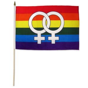 Rainbow Double Venus StickFlag 12" X 18* - Image 1