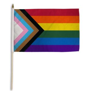 Progress Pride 12" x 18" Stick Flag - Image 1