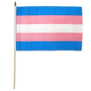 Transgender 12"x18" Stick Flag - Image 1