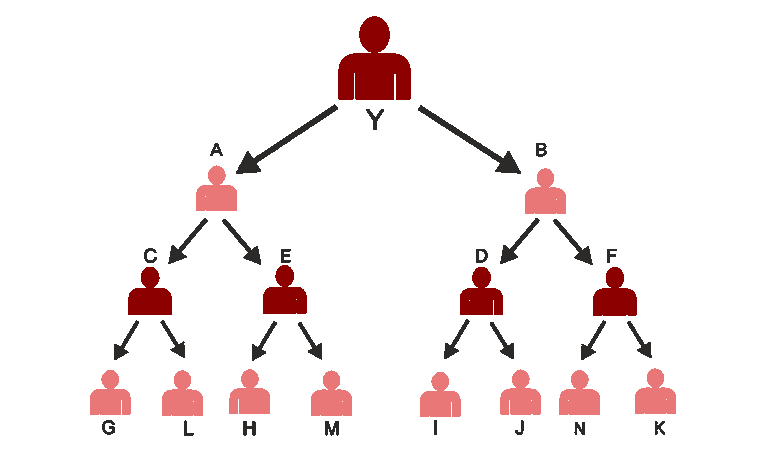 main-mlmac