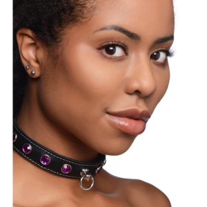 Royal Vixen Leather Choker Rhinestones - Image 1