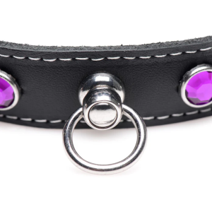 Royal Vixen Leather Choker Rhinestones - Image 4